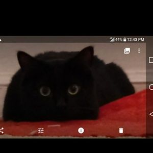 Meet your Posher, Raquel